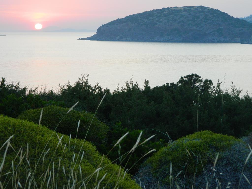 Sounio Palea Heaven Lägenhet Palaiá Fókaia Exteriör bild